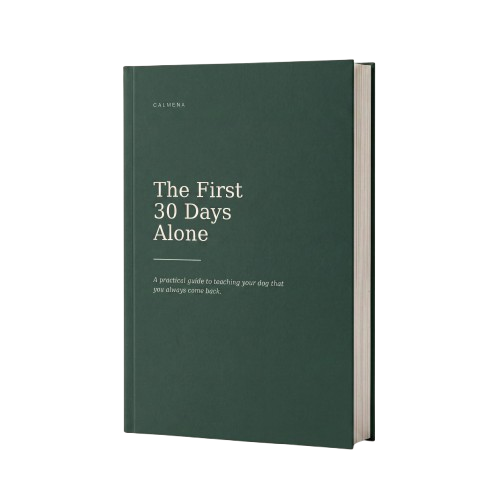 The First 30 Days Alone — Absence Training Guide