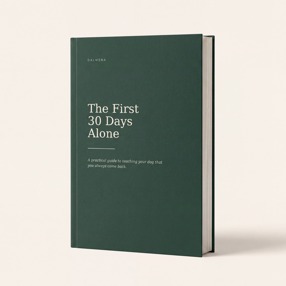 The First 30 Days Alone — Absence Training Guide