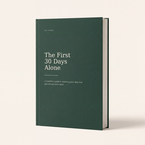 The First 30 Days Alone — Absence Training Guide