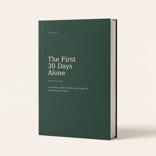 The First 30 Days Alone — Absence Training Guide